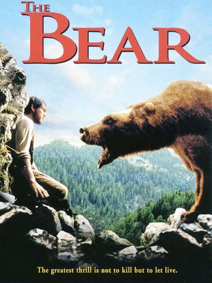 The Bear