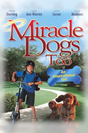 Miracle Dogs Too