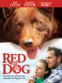 Red Dog