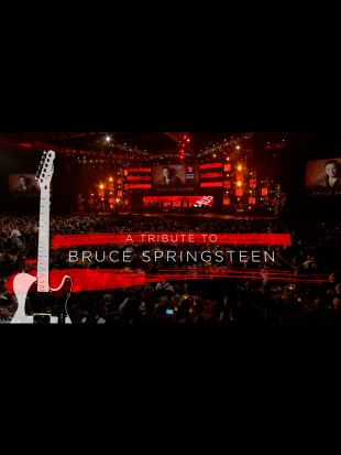 MusiCares Person of the Year 2013: Bruce Springsteen