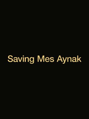Saving Mes Aynak