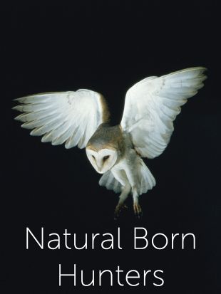 Natural Born Hunters