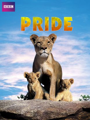 Pride