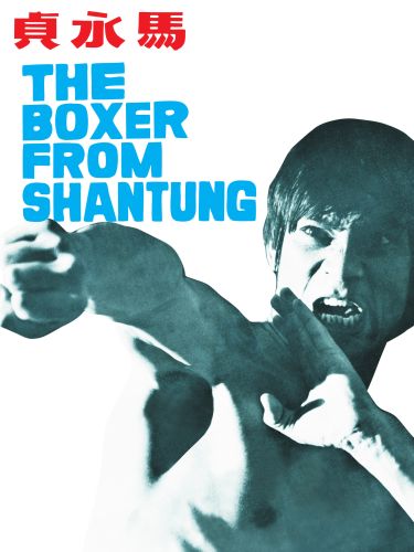 Boxer from Shantung (1972) Hindi Dual Audio 480p UNCUT BluRay ESubs 400MB