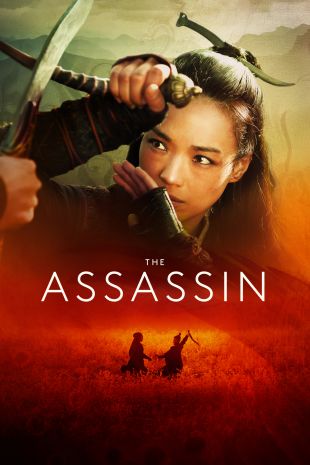 The Assassin