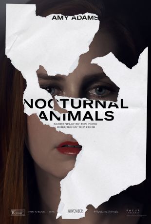 Nocturnal Animals (2016) - Tom Ford | Synopsis, Characteristics, Moods,  Themes and Related | AllMovie
