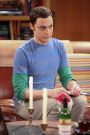The Big Bang Theory : The Infestation Hypothesis
