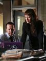 Blue Bloods : The Truth About Lying