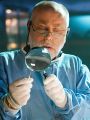 CSI: Crime Scene Investigation : Appendicitement