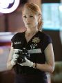 CSI: Crime Scene Investigation : Let It Bleed