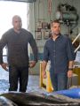 NCIS: Los Angeles : Fish Out of Water