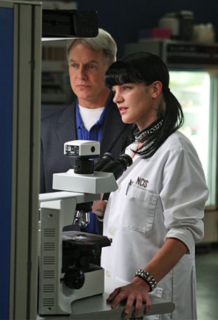 NCIS : Code of Conduct