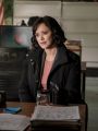 Blue Bloods : Rectify