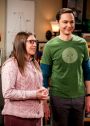The Big Bang Theory : The Plagiarism Schism