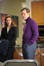 The Good Wife : Bad