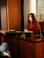 The Good Wife : I Fought the Law