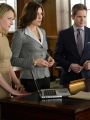 The Good Wife : A More Perfect Union
