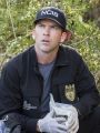 NCIS: New Orleans : Rock-A-Bye Baby