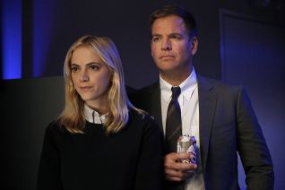 NCIS: Check (2015) NCIS: Check (2015)