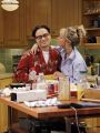 The Big Bang Theory : The Gothowitz Deviation