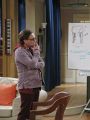 The Big Bang Theory : The Thanksgiving Decoupling