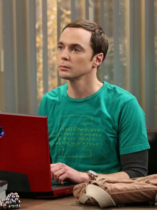 The Big Bang Theory : The Friendship Turbulence