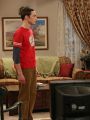 The Big Bang Theory : The Mommy Observation