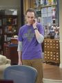 The Big Bang Theory : The Matrimonial Momentum