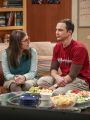 The Big Bang Theory : The Holiday Summation