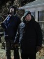 Kevin Can Wait : Kevin vs. the Dutch Elm