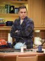 The Big Bang Theory : The Recollection Dissipation