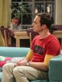 The Big Bang Theory : The Long Distance Dissonance