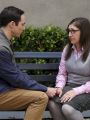The Big Bang Theory : The Conjugal Configuration