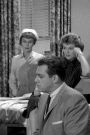 Perry Mason : The Case of the Demure Defendant
