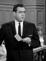 Perry Mason : The Case of the Injured Innocent