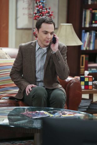 The Big Bang Theory : The Spock Resonance