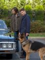 Supernatural : Dog Dean Afternoon