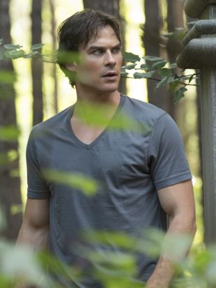 The Vampire Diaries : Never Let Me Go
