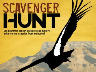 Scavenger Hunt: An Unlikely Union