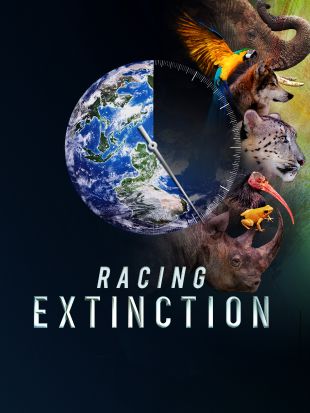 Racing Extinction