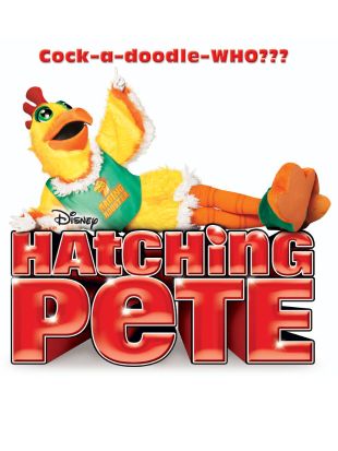 Hatching Pete