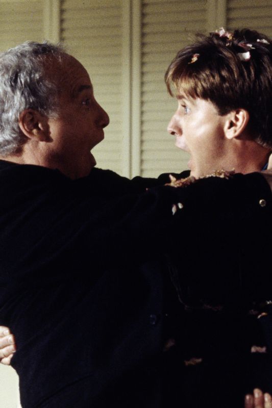 Another Stakeout (1993) John Badham Synopsis, Characteristics