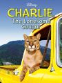 Charlie the Lonesome Cougar