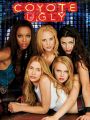 Coyote Ugly