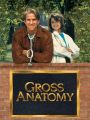 Gross Anatomy