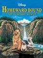 Homeward Bound: The Incredible Journey