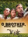 O Brother, Where Art Thou?