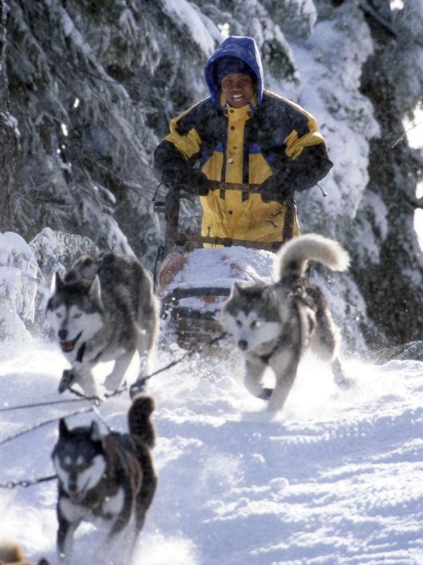 snow dogs cast snow dogs 2002 brian levant cast and crew allmovie snow dogs cast snow dogs 2002 brian levant cast and crew allmovie