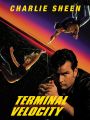 Terminal Velocity