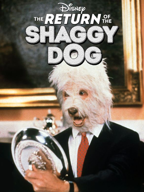 The Return of the Shaggy Dog (1987) Stuart Gillard Synopsis